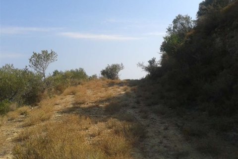 Land en Zakynthos, Greece No. 24574 10