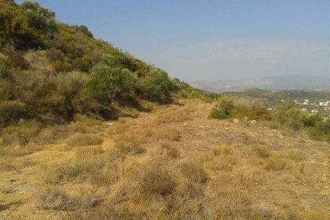 Land en Zakynthos, Greece No. 24574 12