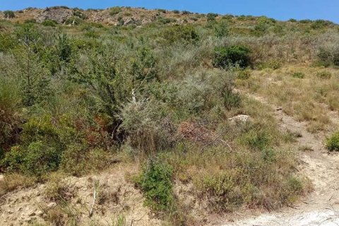 Land in Zakynthos, Greece No. 24571 10