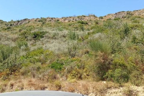 Land in Zakynthos, Greece No. 24571 12