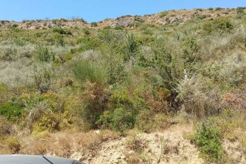 Land in Zakynthos, Greece No. 24571 11