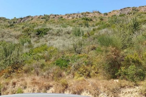 Land in Zakynthos, Greece No. 24571 13