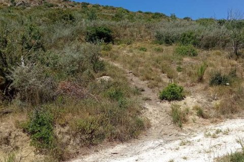 Land in Zakynthos, Greece No. 24571 9