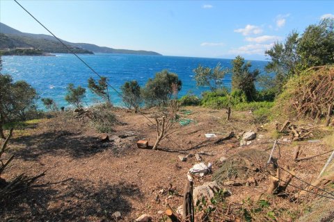 3300m² Land en Corfu, Greece No. 57535 1