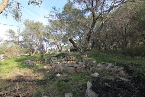 3300m² Land en Corfu, Greece No. 57535 10