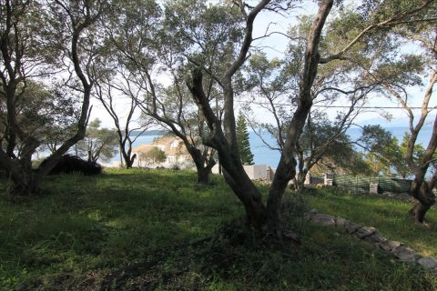 3300m² Land in Corfu, Greece No. 57535 13