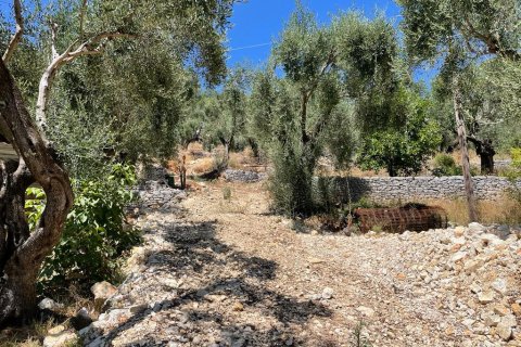 2200m² Land en Corfu, Greece No. 55399 9