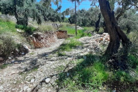 2200m² Land in Corfu, Greece No. 55399 7