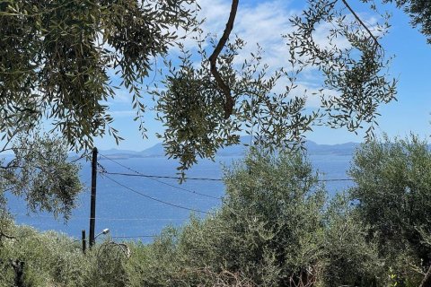 2200m² Land in Corfu, Greece No. 55399 2