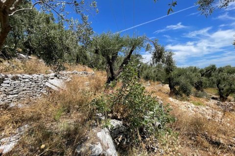 2200m² Land in Corfu, Greece No. 55399 11