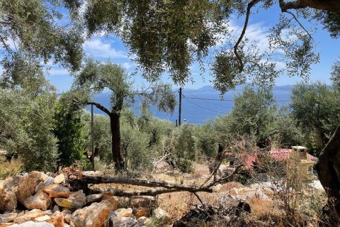 2200m² Land en Corfu, Greece No. 55399 3