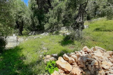 2200m² Land in Corfu, Greece No. 55399 14