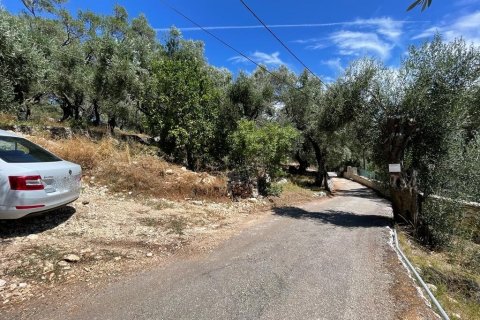 2200m² Land en Corfu, Greece No. 55399 17