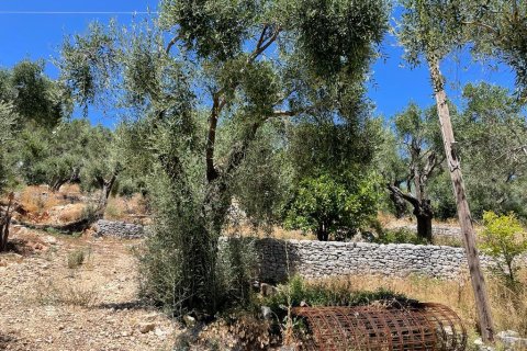 2200m² Land en Corfu, Greece No. 55399 8