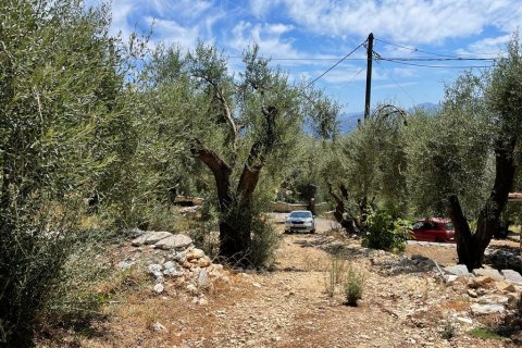 2200m² Land in Corfu, Greece No. 55399 6