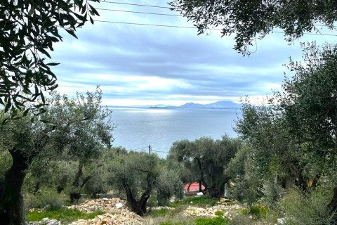 2200m² Land en Corfu, Greece No. 55399 4