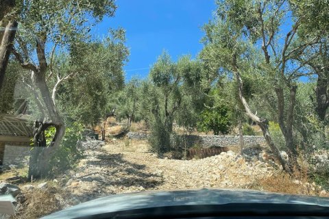 2200m² Land en Corfu, Greece No. 55399 15