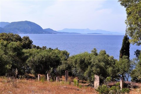 33000m² Land à Corfu, Greece No. 57210 9