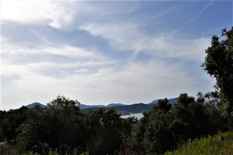 33000m² Land en Corfu, Greece No. 57210 12