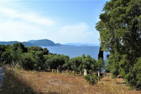 33000m² Land in Corfu, Greece No. 57210 10