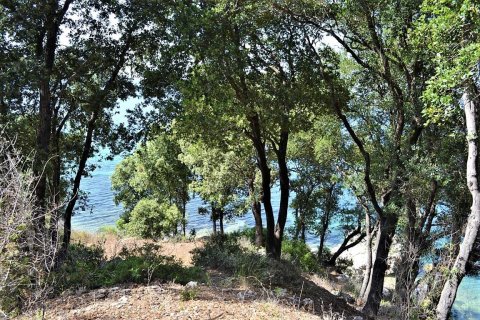 33000m² Land in Corfu, Greece No. 57210 8