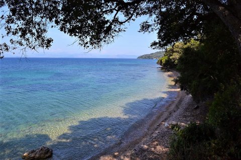 33000m² Land in Corfu, Greece No. 57210 2