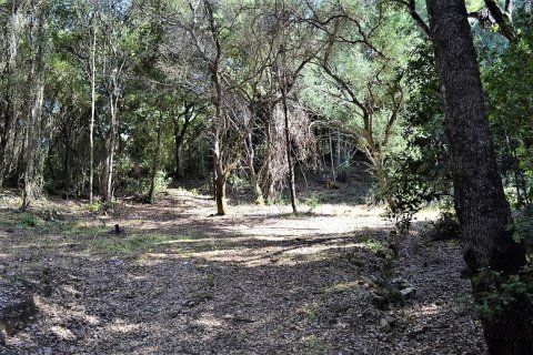 33000m² Land in Corfu, Greece No. 57210 14