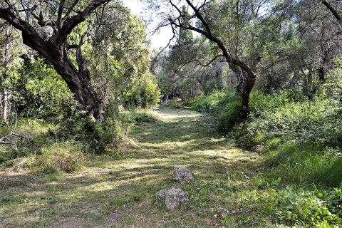 33000m² Land in Corfu, Greece No. 57210 21