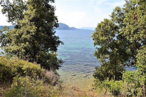 33000m² Land in Corfu, Greece No. 57210 7