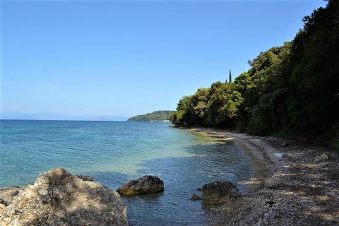 33000m² Land in Corfu, Greece No. 57210 5