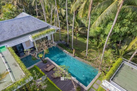 4 bedrooms House in Ubud, Indonesia No. 23498 8