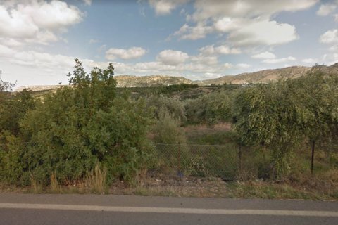 7000m² Land en Lasithi, Greece No. 57675 1