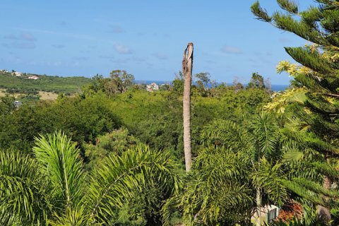 3 chambres Villa à Cedar Grove, Antigua and Barbuda No. 61383 6