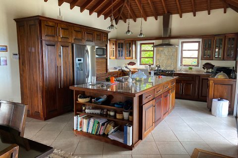 3 bedrooms Villa in Piccadilly, Antigua and Barbuda No. 61388 4