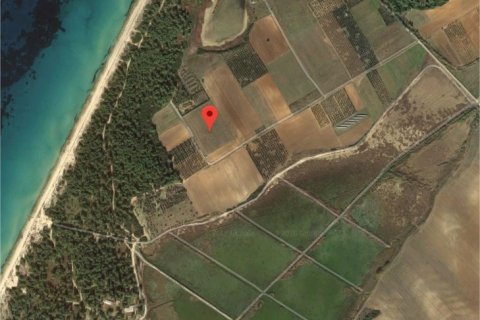 19900m² Land en Chalkidiki, Greece No. 58040 1