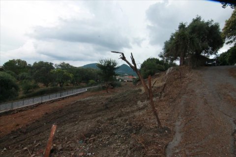 2250m² Land in Corfu, Greece No. 58038 14