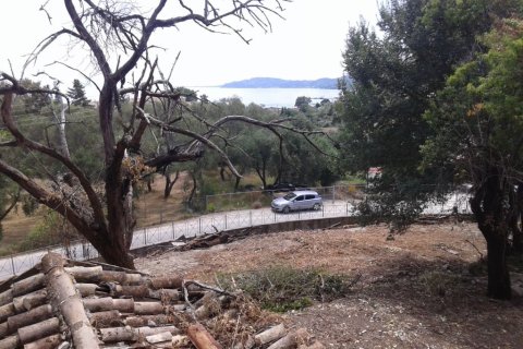 2250m² Land à Corfu, Greece No. 58038 5