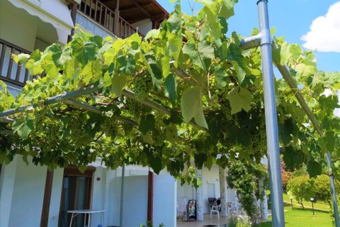 224m² Hotel à Chalkidiki, Greece No. 58037 19