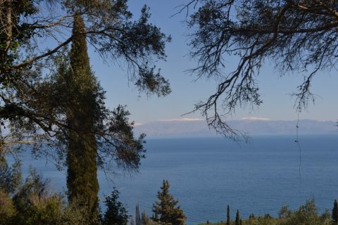 8000m² Land en Corfu, Greece No. 59809 1