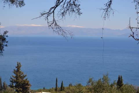 8000m² Land in Corfu, Greece No. 59809 8