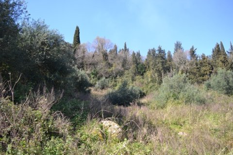 8000m² Land in Corfu, Greece No. 59809 3