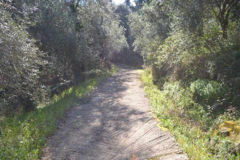 8000m² Land en Corfu, Greece No. 59809 2