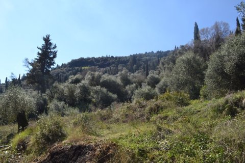 8000m² Land in Corfu, Greece No. 59809 4