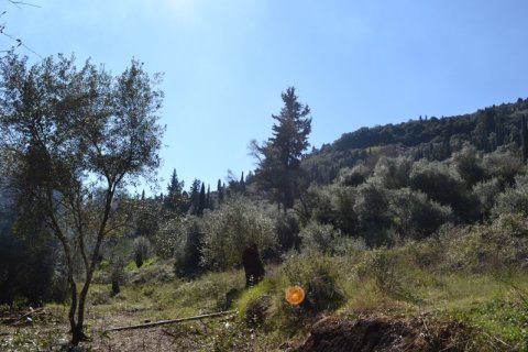 8000m² Land en Corfu, Greece No. 59809 5