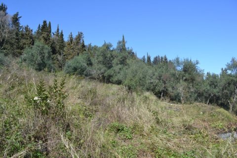 8000m² Land à Corfu, Greece No. 59809 6