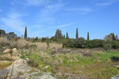 24000m² Land à Corfu, Greece No. 59810 4