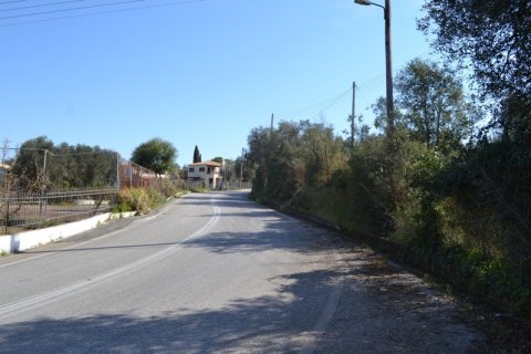 24000m² Land en Corfu, Greece No. 59810 5