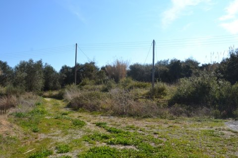 24000m² Land en Corfu, Greece No. 59810 7