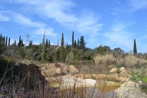 24000m² Land en Corfu, Greece No. 59810 6