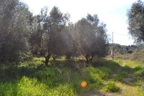 24000m² Land en Corfu, Greece No. 59810 3